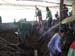 20100205_cpm_035
