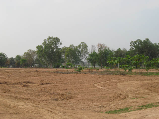 20100208_big_16