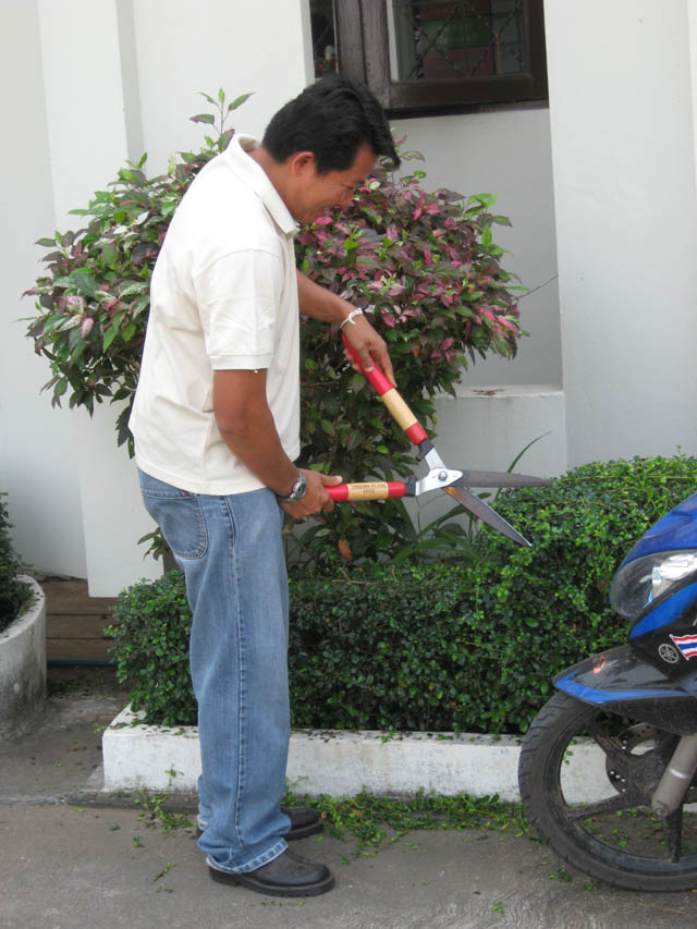 20100208_big_36