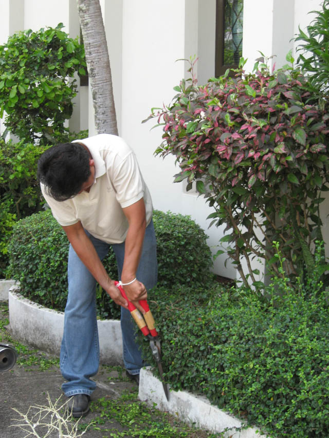 20100208_big_37
