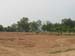 20100208_big_16