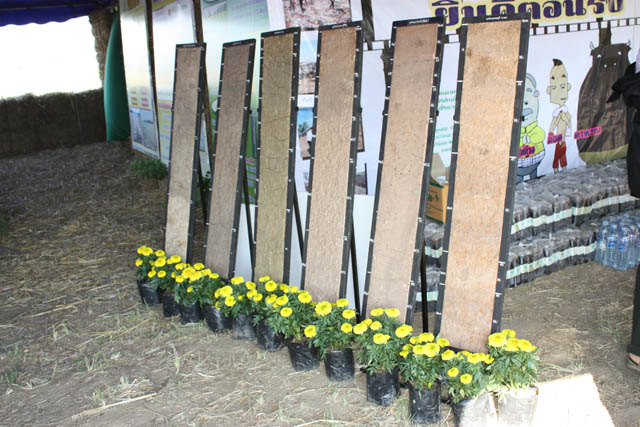 20100224_013