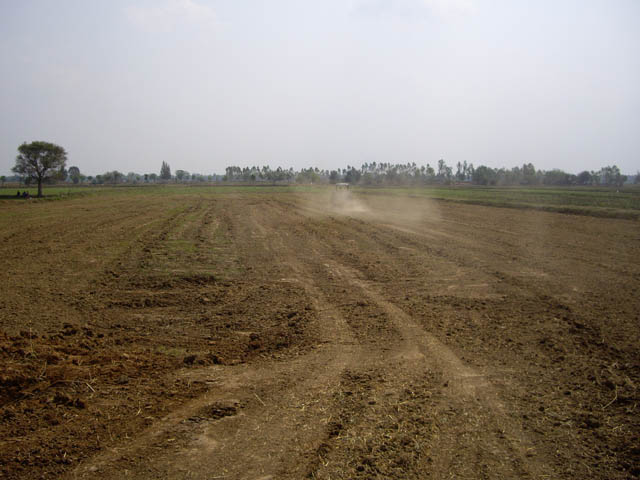 20100224_086