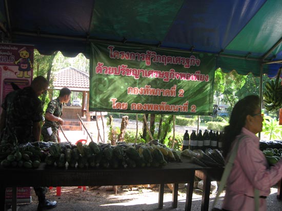 20100810_13