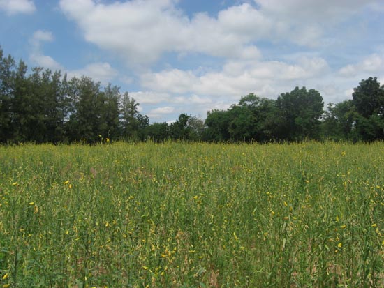 20100810_66