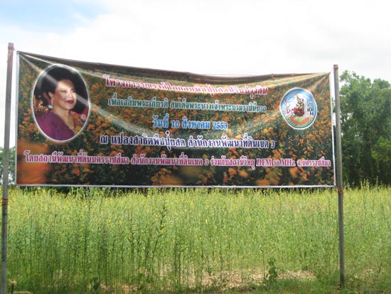 20100810_67