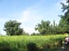 20100810_08