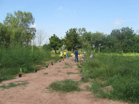 IMG_0401