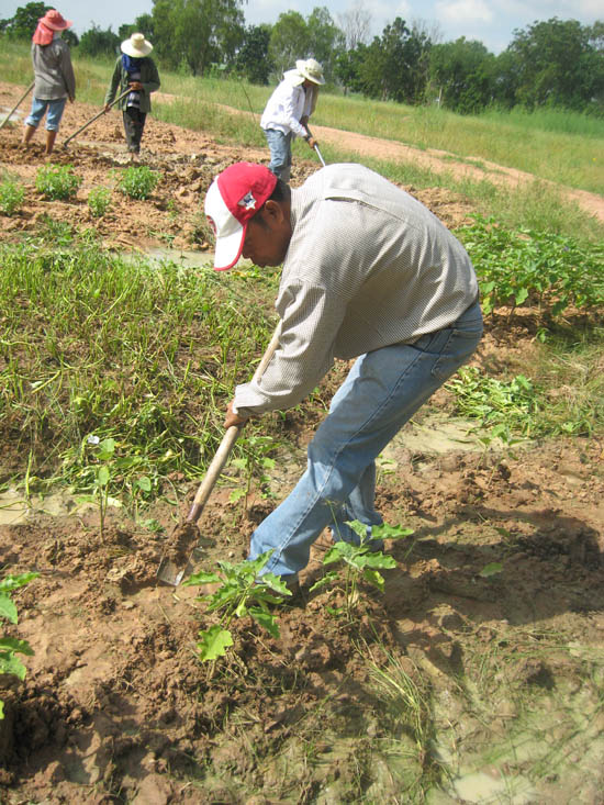 20101007_15