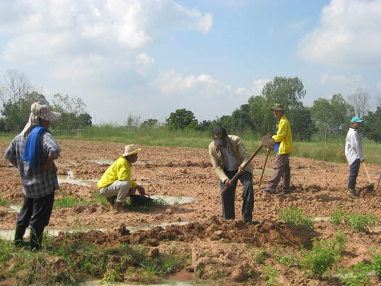 20101007_17