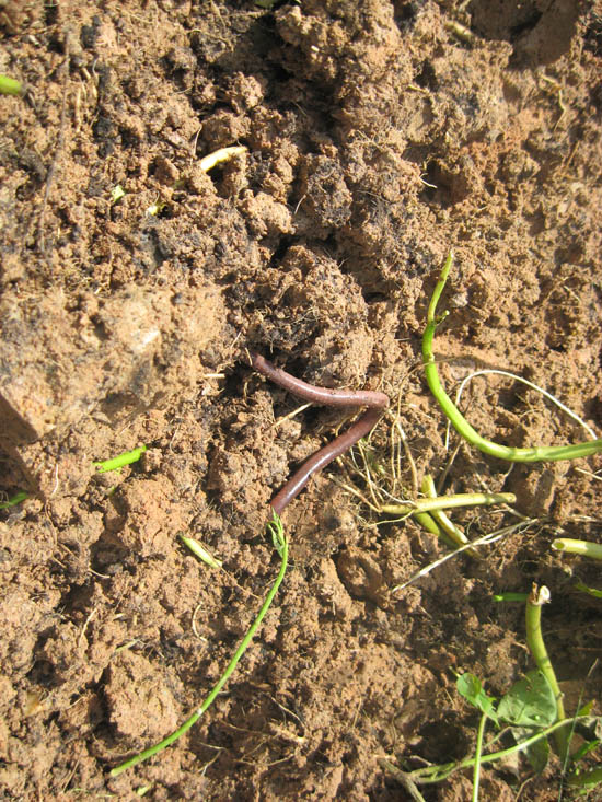 20101007_30